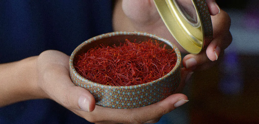 Zafaran artisans hand-harvesting saffron flowers in Khorasan fields
